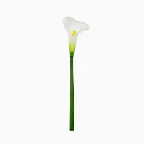 Yapay Islak Dokulu Gala Tek Dal (75cm) Yapay Islak Dokulu Gala Tek Dal (75cm)