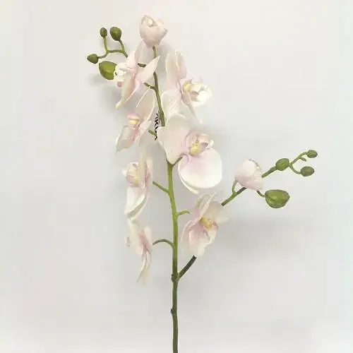 Real Touch Phalaenopsis Orchid White