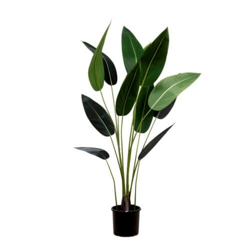 Yapay Starliçe Ağacı 130 CM Yapay Starliçe Ağacı 130 CM