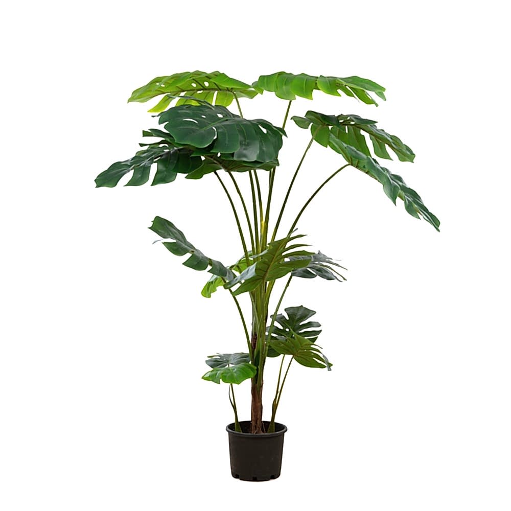 Yapay Monstera Deve Tabanı Ağacı 150 CM Yapay Monstera Deve Tabanı Ağacı 150 CM