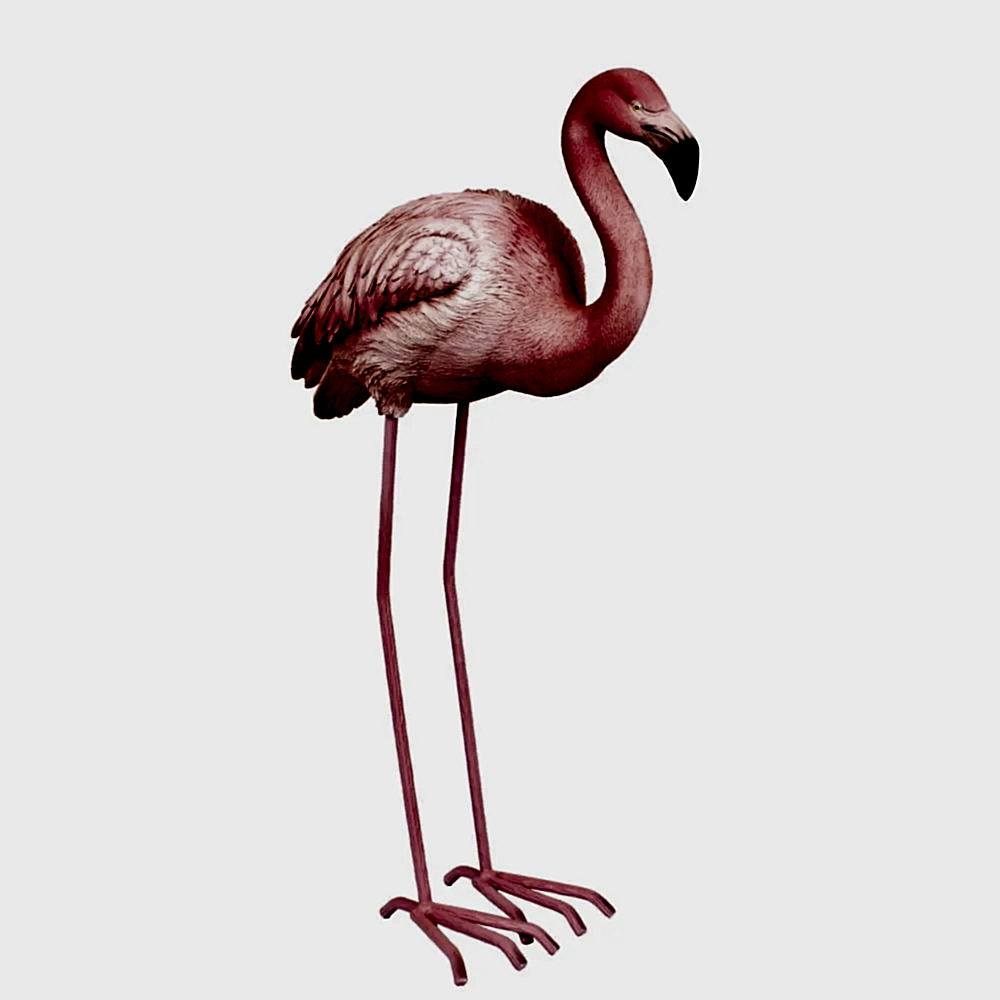 Aksesuar Flamingo