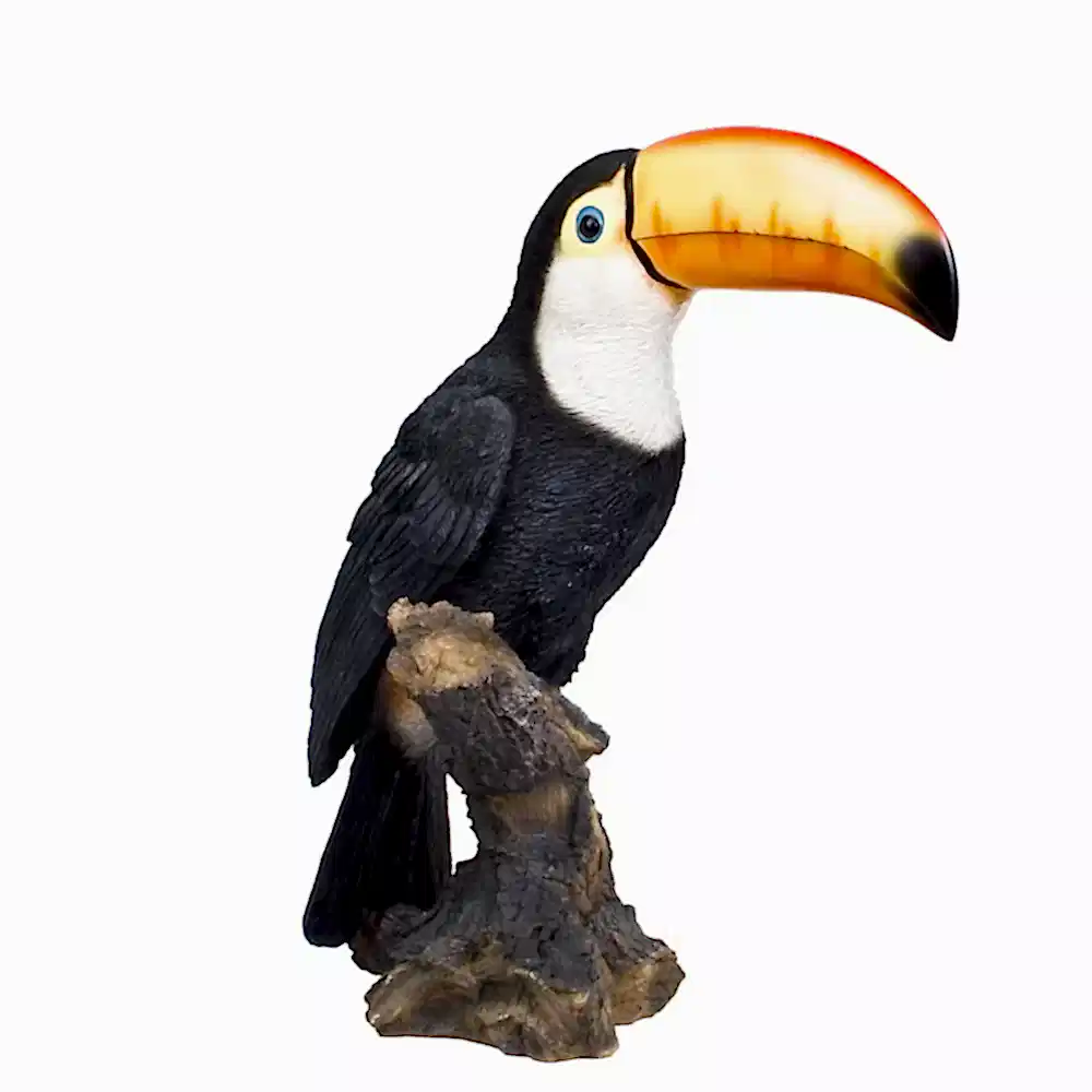 Aksesuar Toucan