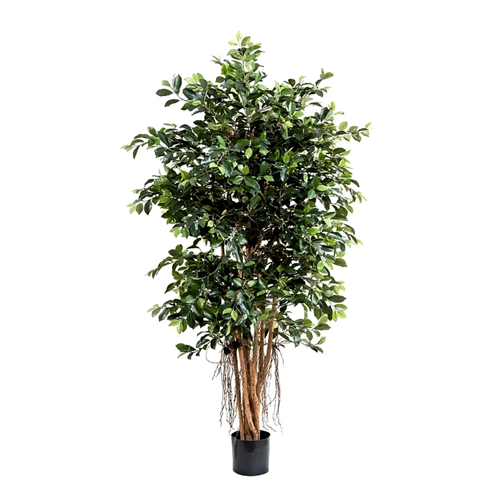 Yapay Retusa Ficus Ağacı (180cm) Ficus Retusa