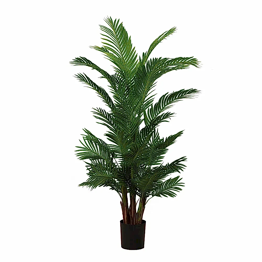 Yapay Kentia Palm (180cm) Kentia Palm Tree