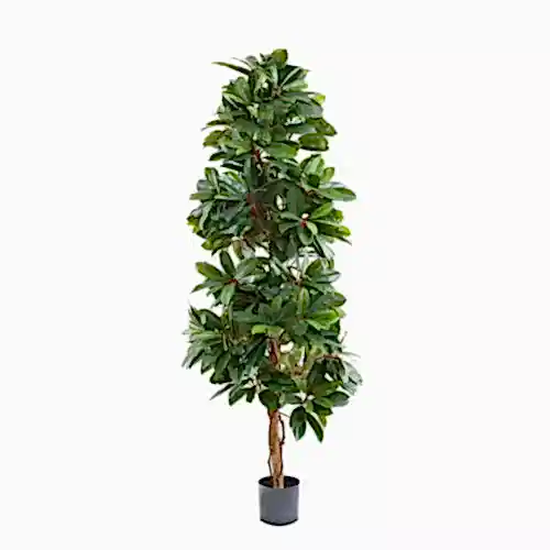 Yapay Şeflera Ağacı (Schefflera) Natural Schefflera