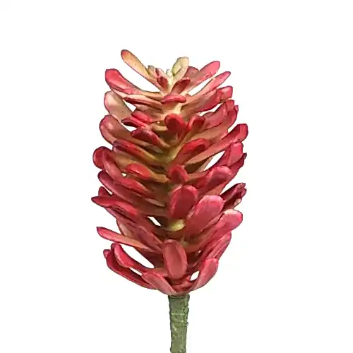 Yapay Sukkulent (20 CM) Succulent