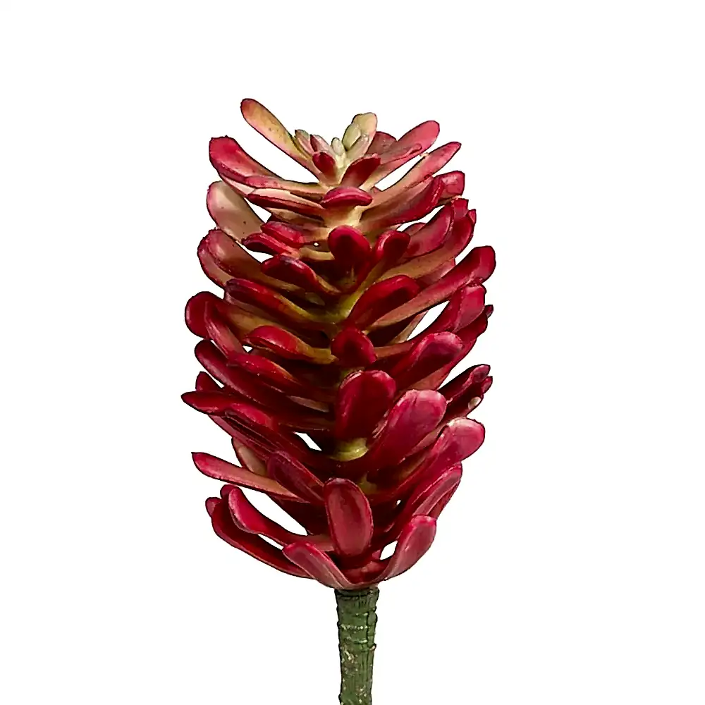 Yapay Sukkulent (20 CM) Succulent