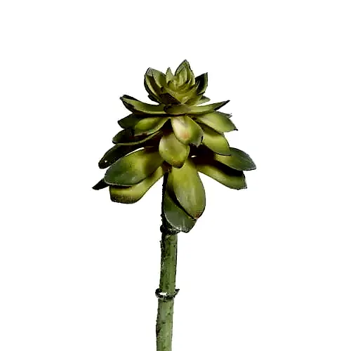 Yapay Sukkulent (18 CM) Succulent