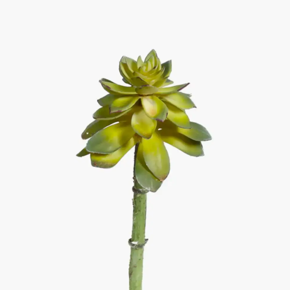 Yapay Sukkulent (18 CM) Succulent