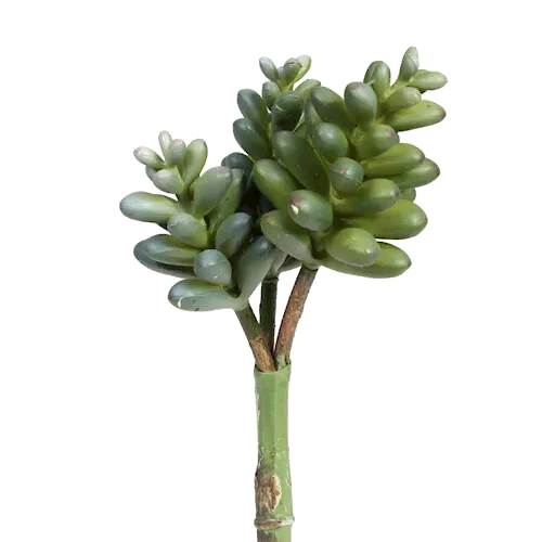 Yapay Sukkulent (23 CM) Succulent