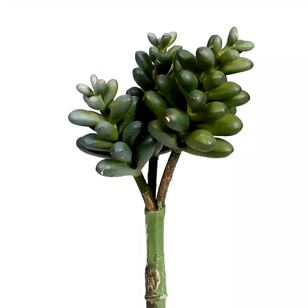 Yapay Sukkulent (23 CM) Succulent