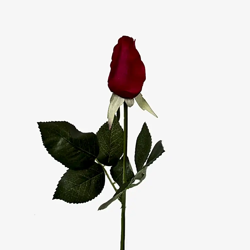 Touch Mini Rose Bud