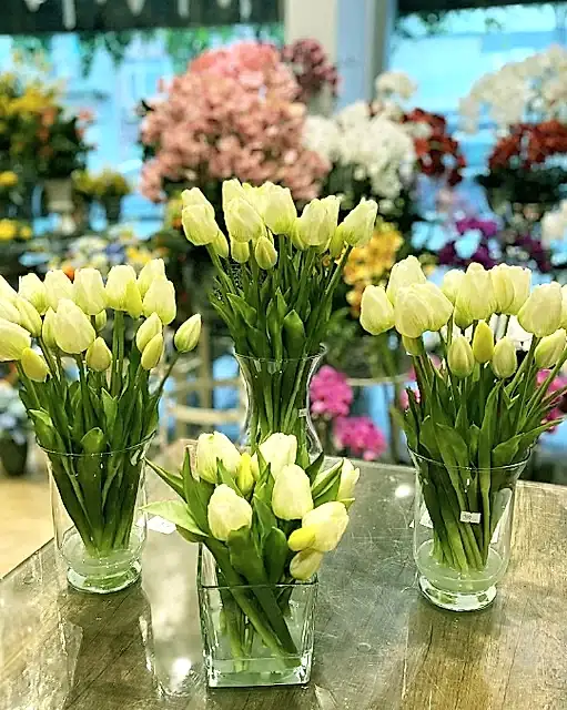 Yapay Lale Fiyatları