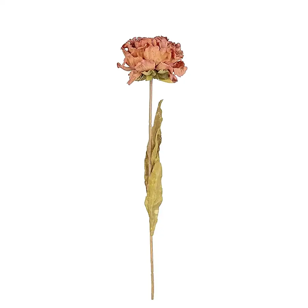 Yapay Gül Tek Dal Kuru Görünümlü (63cm) Yapay Gül Tek Dal Kuru Görünümlü (63cm)