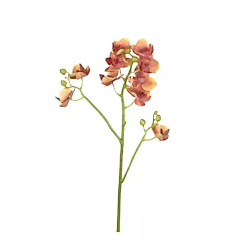 Yapay Islak Dokulu Mini Orkide - Phalaenopsis