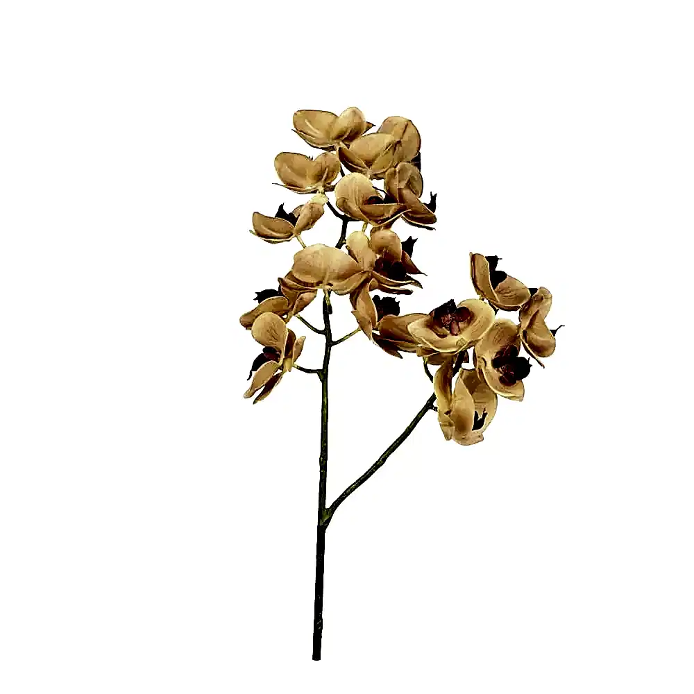 Yapay Islak Dokulu Orkide Çiçeği - Phalaenopsis