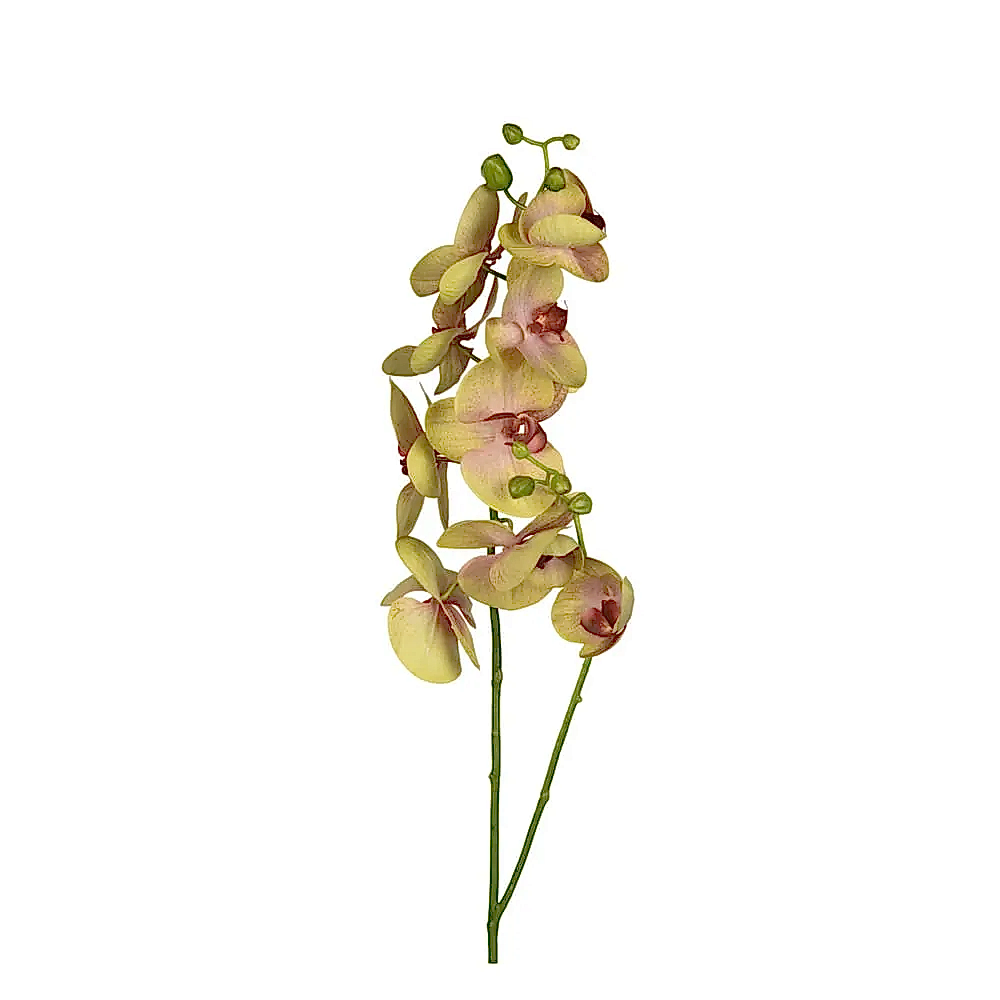 Yapay Islak Dokulu Çiçek - Phalaenopsis Orkide (65cm) Yapay Islak Dokulu Çiçek - Phalaenopsis Orkide (65cm) - Görsel 2