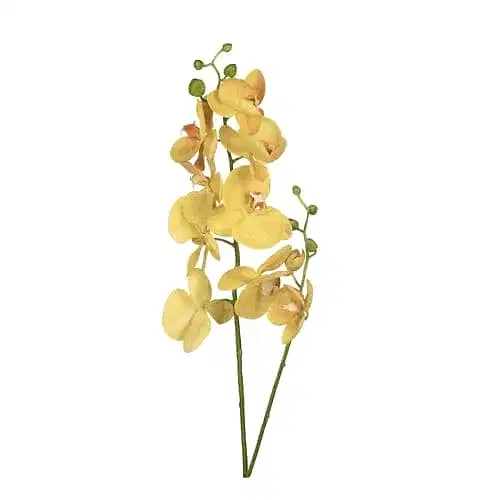 Yapay Islak Dokulu Çiçek - Phalaenopsis Orkide (65cm) Yapay Islak Dokulu Çiçek - Phalaenopsis Orkide (65cm)