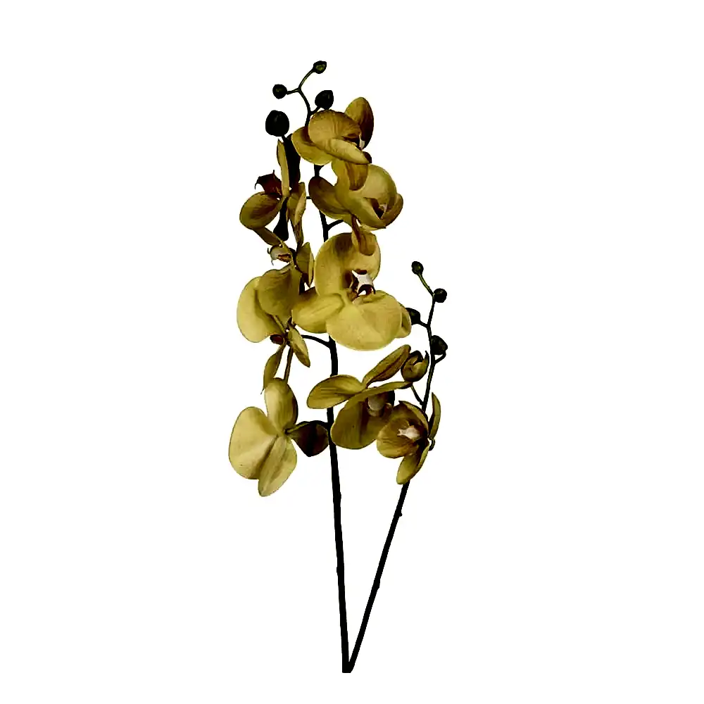 Yapay Islak Dokulu Çiçek - Phalaenopsis Orkide (65cm) Yapay Islak Dokulu Çiçek - Phalaenopsis Orkide (65cm)