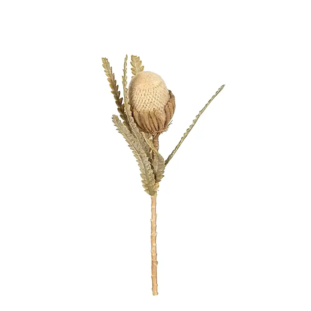 Yapay Protea Bitkisi (56cm)
