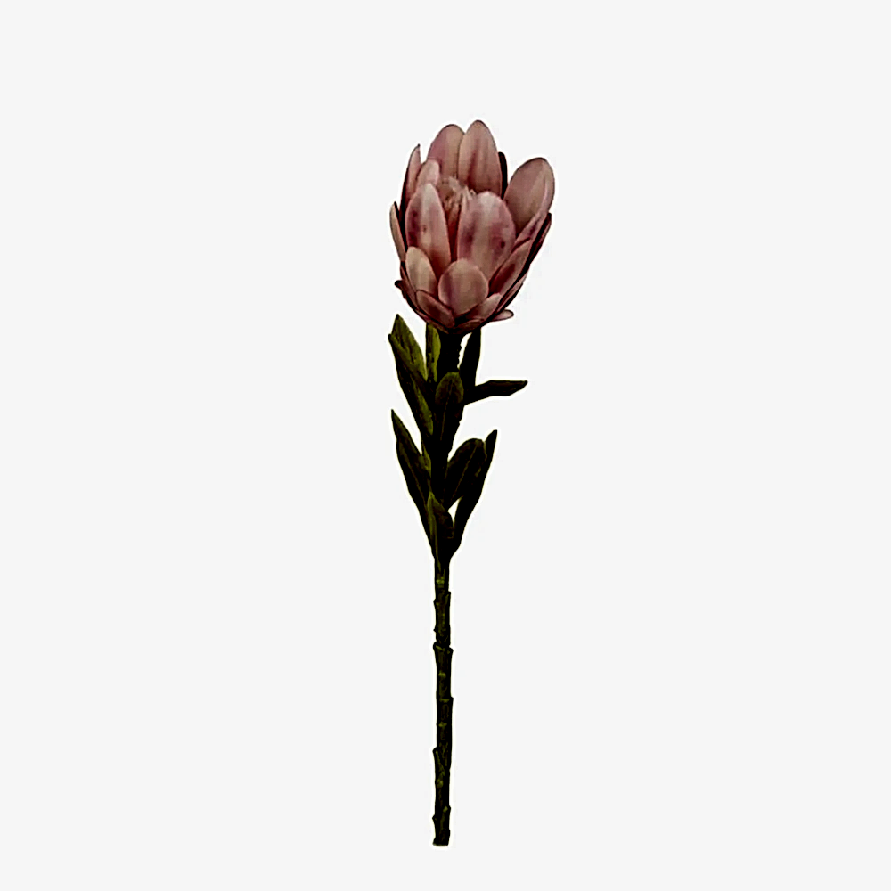 Yapay Protea Çiçeği Tek Dal (56cm)