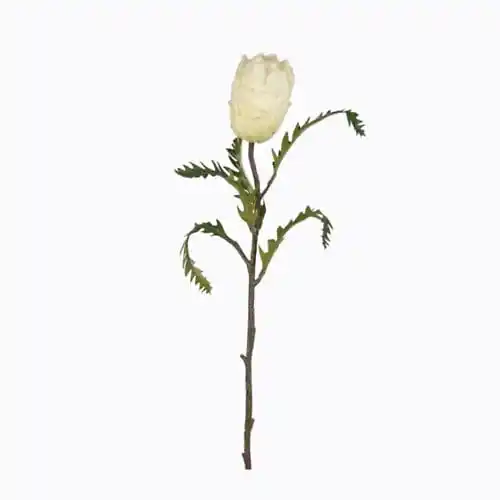 Yapay Protea Çiçeği Tek Dal (63cm)