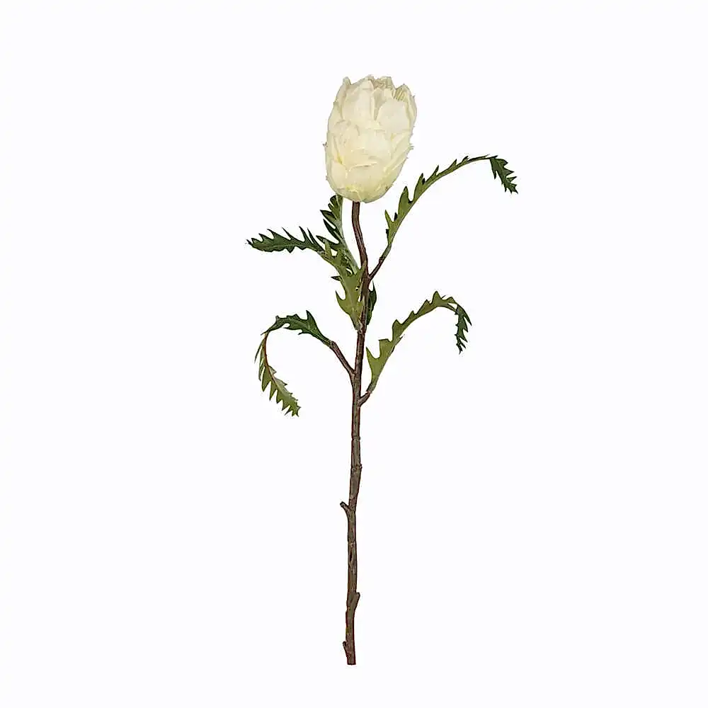 Yapay Protea Çiçeği Tek Dal (63cm)