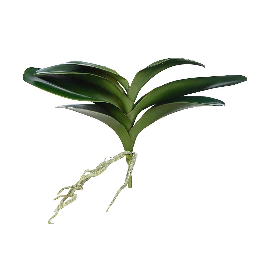 Yapay Orkide Yaprağı (28cm) Yapay Orkide Yaprağı (28cm)