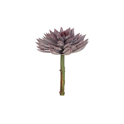Yapay Echeveria Sukulent (20 CM) Yapay Echeveria Sukulent (20 CM)