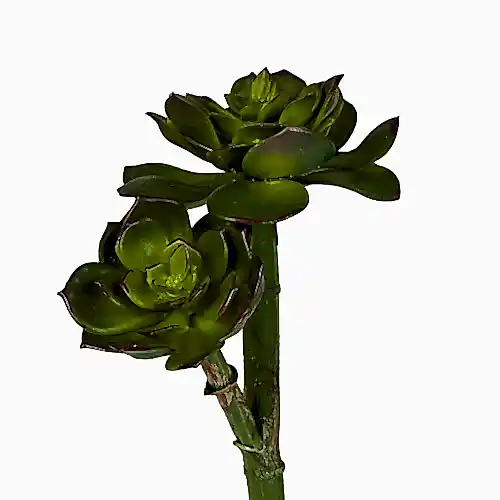 Yapay Echeveria Pick (25 CM) Yapay Echeveria Pick (25 CM)