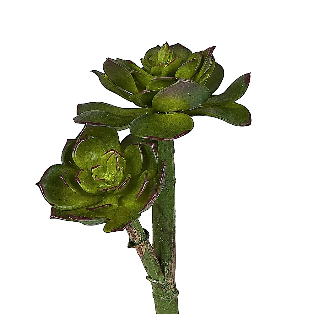 Yapay Echeveria Pick (25 CM) Yapay Echeveria Pick (25 CM)