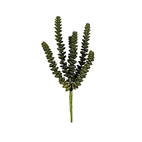 Yapay Kaktüs Sukulent (33 CM) Yapay Kaktüs Sukulent (33 CM)