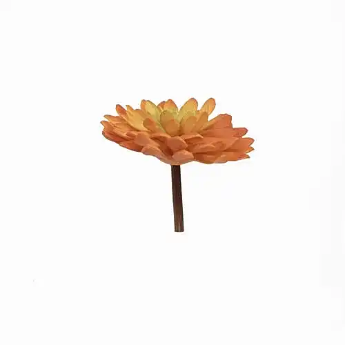 Yapay Echeveria Sukulent (11cm) Yapay Echeveria Sukulent (11cm)