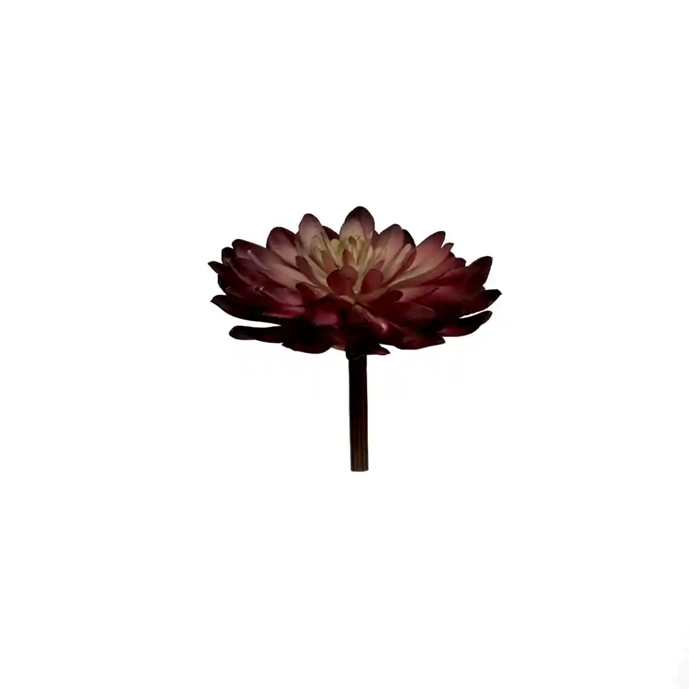 Yapay Echeveria Sukulent (11cm) - Görsel 2