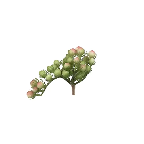 Yapay Succulent (13cm) Yapay Succulent (13cm)