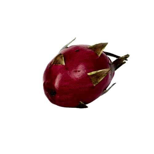 Yapay Dragon Meyvesi (16cm) Yapay Dragon Meyvesi (16cm)