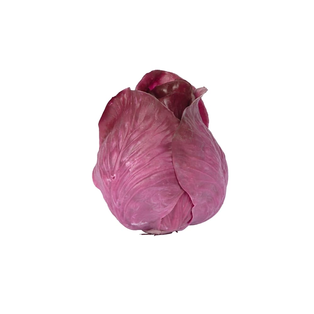Yapay Marul (12cm) Yapay Marul (12cm)