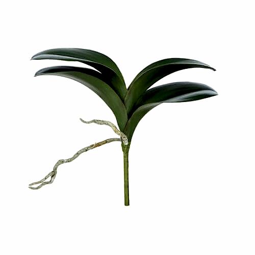 Yapay Orkide Yaprağı (22cm)