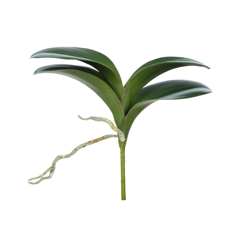 Yapay Orkide Yaprağı (22cm) Yapay Orkide Yaprağı (22cm)