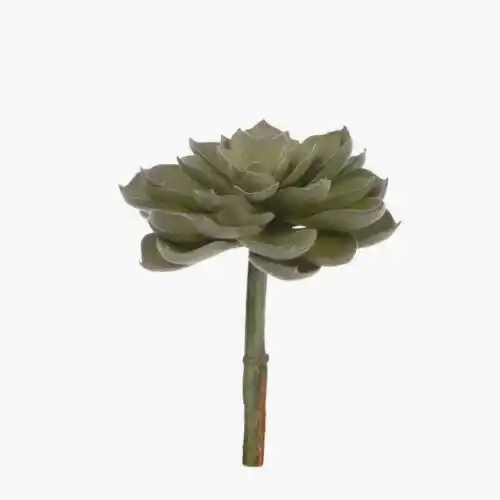 Yapay Echeveria Sukulent Yapay Echeveria Sukulent