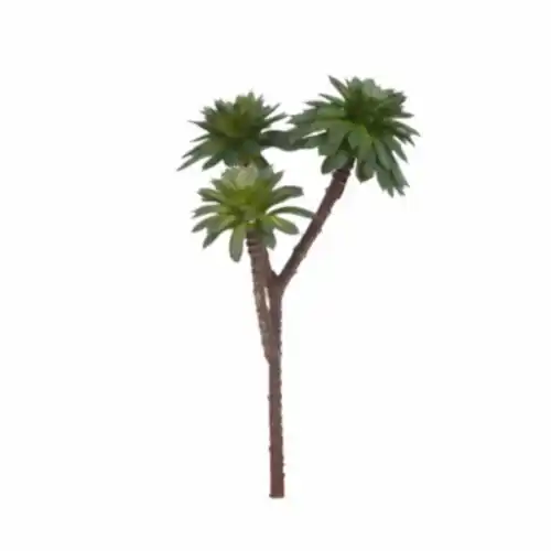 Succulent Pick Succulent Pick