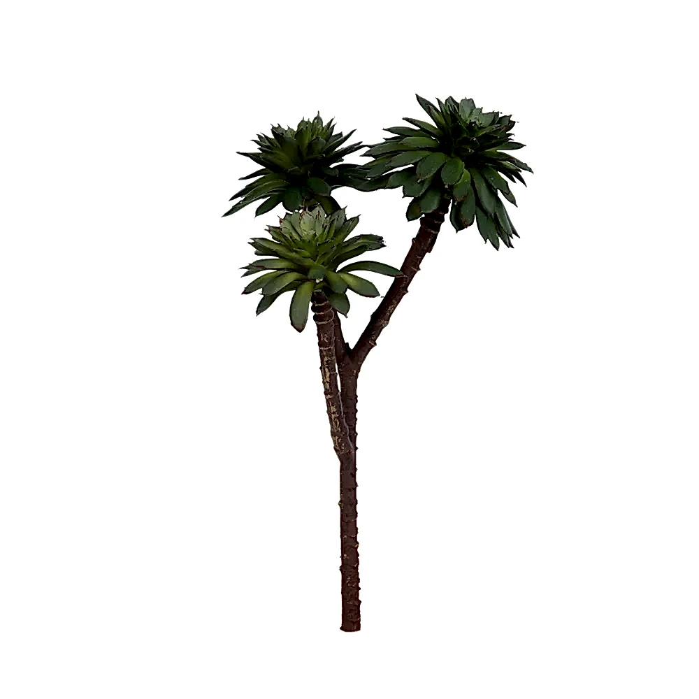 Succulent Pick Succulent Pick