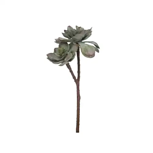 Yapay Sukulent Echeveria Yapay Sukulent Echeveria