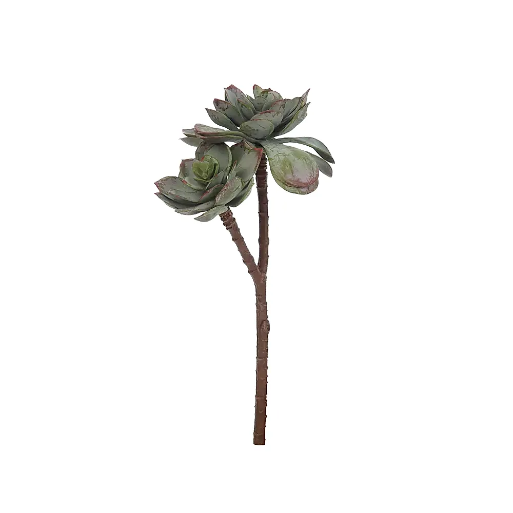 Yapay Sukulent Echeveria