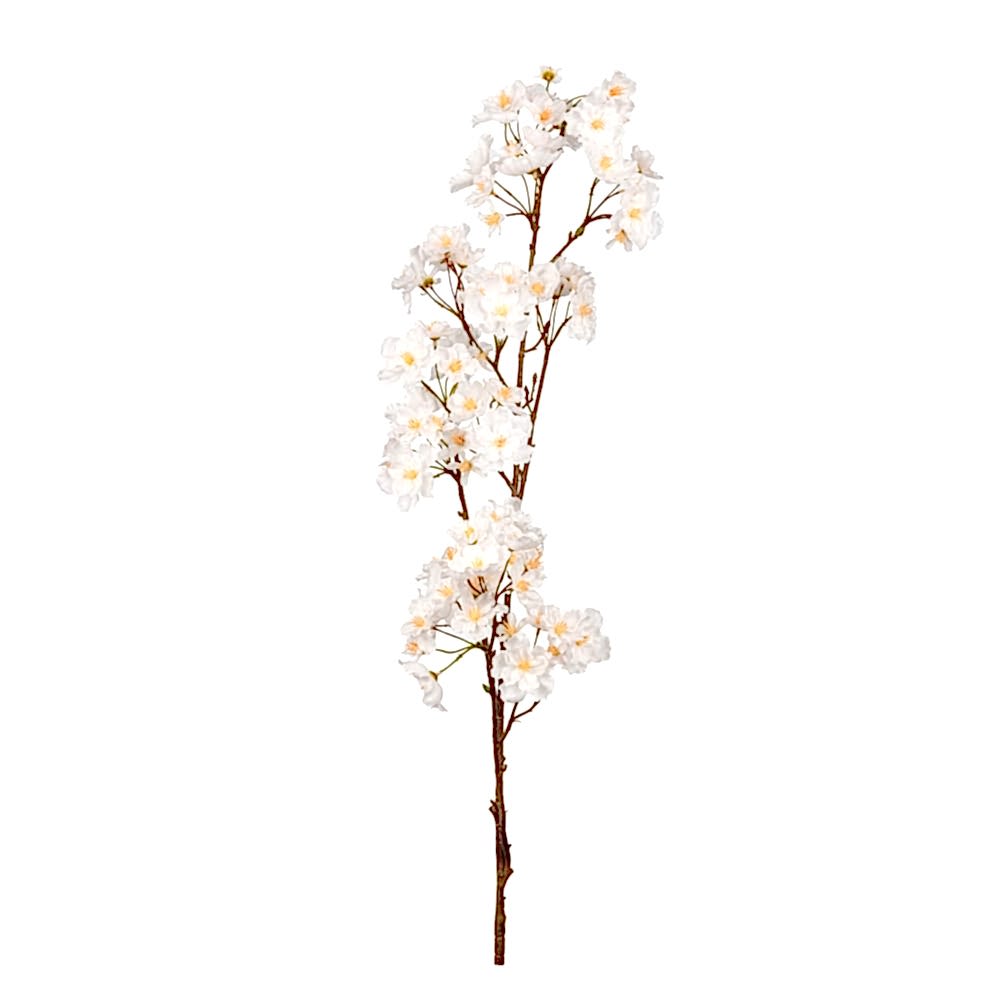 Peach Blossom Spray Peach Blossom Spray