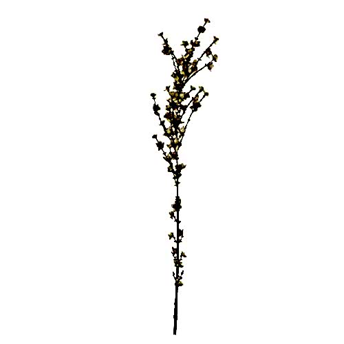 Winter Sweet Spray