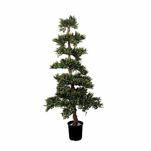 Boxwood Tree (142cm) Boxwood Tree (142cm)