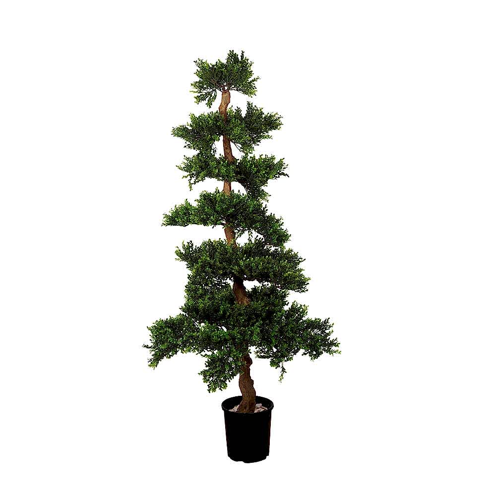 Boxwood Tree (142cm) Boxwood Tree (142cm)