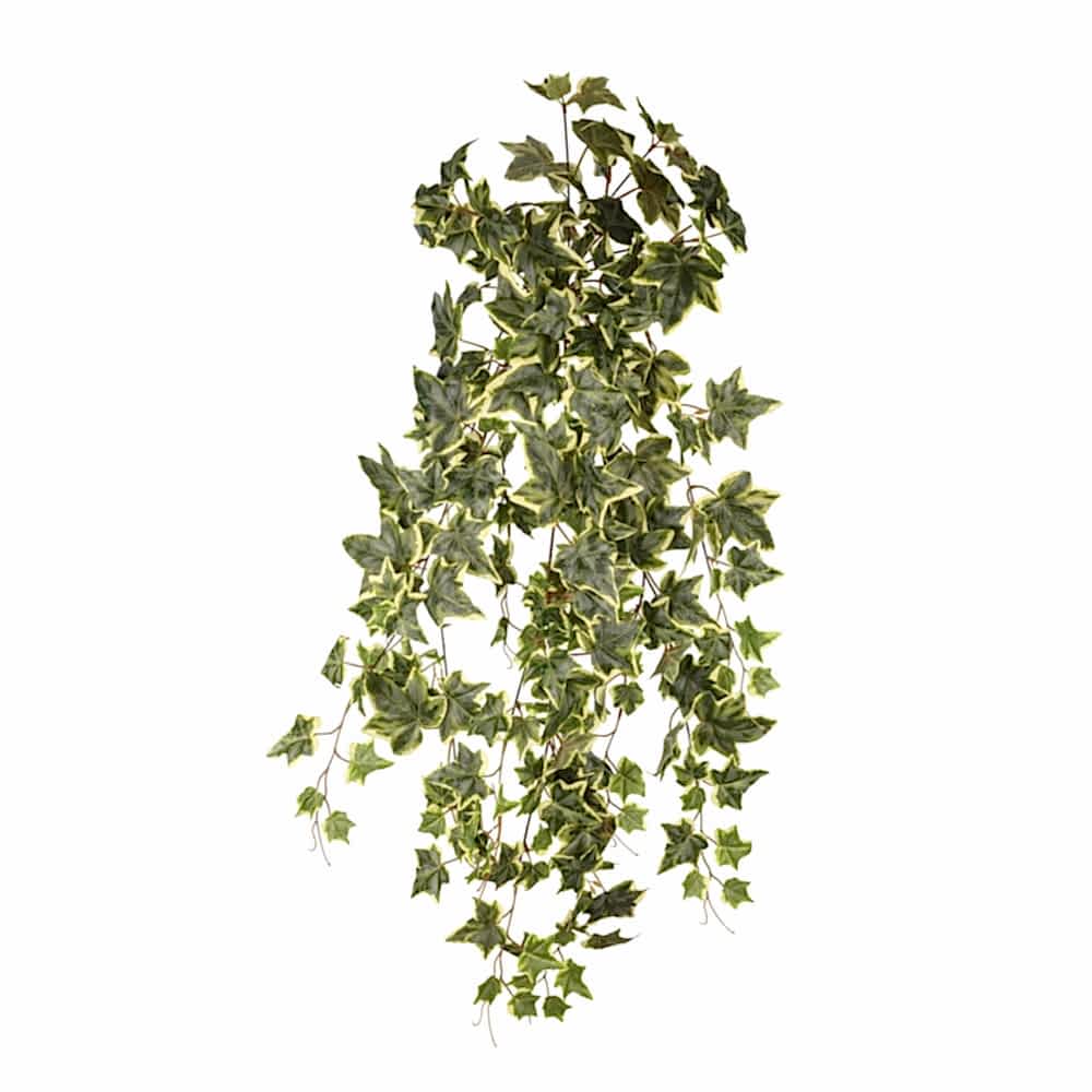 Ivy Hanging Bush (90cm) Ivy Hanging Bush (90cm)