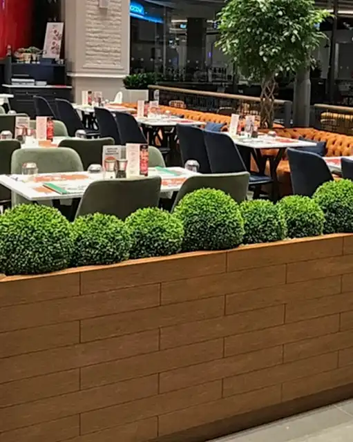 Dekoratif Şimşir Top
